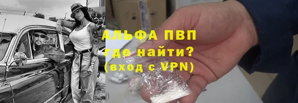 прущие грибы Арсеньев
