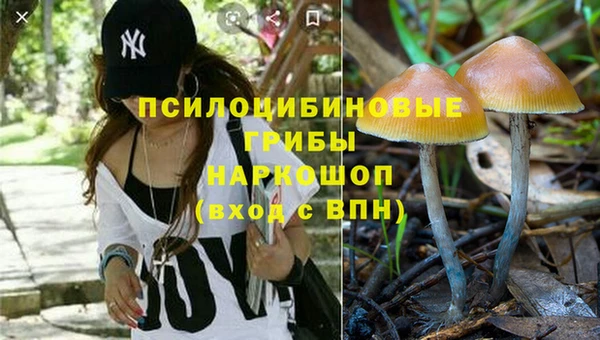 MDMA Аркадак